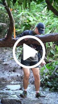 BIB:  <button type="button" onclick="openModal(27799515)" class="btn btn-primary btn-sm float-right" data-toggle="modal" data-target=".modal-high-quality">
                <i class="fa fa-download"></i> Download
                </button>